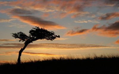 

Akhuratha aafrican-background--desktop Wall Poster Paper Print(12 inch X 18 inch, Rolled)