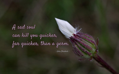 

Akhuratha aquote-quotes-soul Wall Poster Paper Print(12 inch X 18 inch, Rolled)