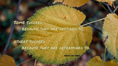

Akhuratha a-quote-quotes-success Wall Poster Paper Print(12 inch X 18 inch, Rolled)