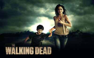 

TV Show The Walking Dead Sarah Wayne Callies Lori Grimes Chandler Riggs Carl Grimes HD Wall Poster Paper Print(12 inch X 18 inch, Rolled)