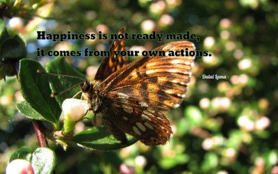 

Akhuratha aquote-quotes-happiness-action Wall Poster Paper Print(12 inch X 18 inch, Rolled)