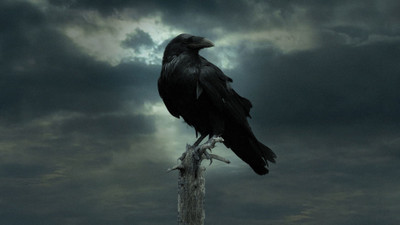 

TV Show Game Of Thrones Bird Crow Raven HD Wall Poster Paper Print(12 inch X 18 inch, Rolled)