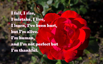 

Akhuratha aquote-quotes-perfection-mistake-human Wall Poster Paper Print(12 inch X 18 inch, Rolled)