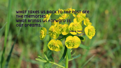 

Akhuratha aquote-quotes-dream-past-memory Wall Poster Paper Print(12 inch X 18 inch, Rolled)