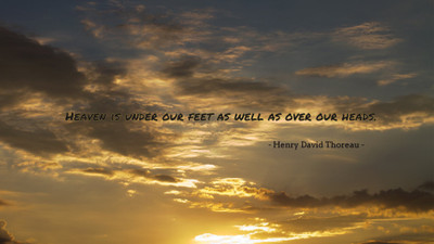 

Akhuratha aquote-quotes-heaven Wall Poster Paper Print(12 inch X 18 inch, Rolled)