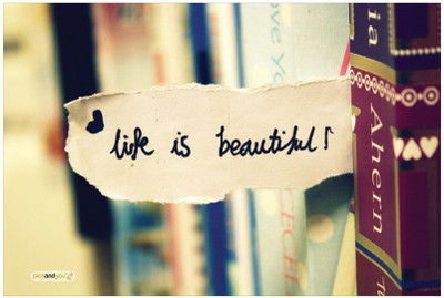 

Akhuratha Wall Poster -life-is-beautiful-wall-door-wpsl-wpsl-mykwrxbczzj Paper Print(18 inch X 12 inch, Rolled)