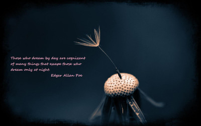 

Akhuratha -edgar-allan-poe-quotes-text Wall Poster Paper Print(12 inch X 18 inch, Rolled)