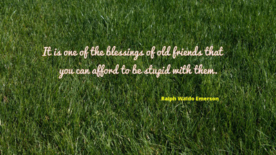

Akhuratha aquote-quotes-blessing-stupidity Wall Poster Paper Print(12 inch X 18 inch, Rolled)