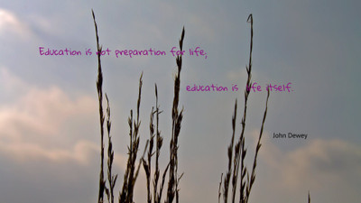 

Akhuratha a-quote-quotes-education Wall Poster Paper Print(12 inch X 18 inch, Rolled)