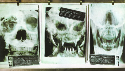 

Aabhaas Wall Poster Alien-vs.-Predator-Predator-movie-Alien-movie Paper Print(12 inch X 18 inch, Rolled)