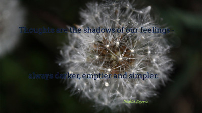 

Akhuratha aquote-quotes-thought-shadow-feeling Wall Poster Paper Print(12 inch X 18 inch, Rolled)