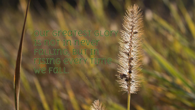 

Akhuratha aquote-quotes-glory-rise-fall Wall Poster Paper Print(12 inch X 18 inch, Rolled)