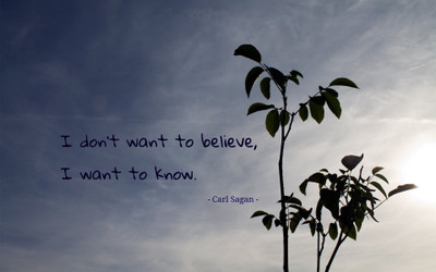 

Akhuratha aquote-quotes-knowledge-belief Wall Poster Paper Print(12 inch X 18 inch, Rolled)