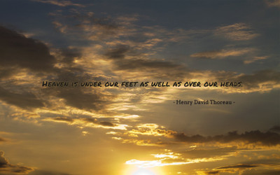

Akhuratha aquote-quotes-heaven Wall Poster Paper Print(12 inch X 18 inch, Rolled)