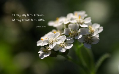 

Akhuratha aquote-quotes-difference Wall Poster Paper Print(12 inch X 18 inch, Rolled)