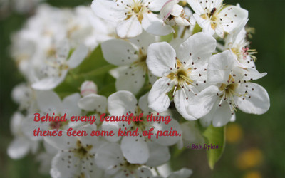 

Akhuratha aquote-quotes-beauty-pain Wall Poster Paper Print(12 inch X 18 inch, Rolled)
