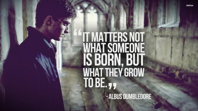 

Akhuratha a-harry-potter-quote-daniel-radcliffe Wall Poster Paper Print(12 inch X 18 inch, Rolled)