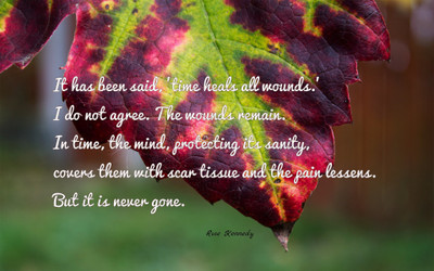 Akhuratha aquote-quotes-time-wound Wall Poster Paper Print(12 inch X 18 inch, Rolled)