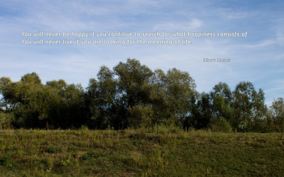 

Akhuratha aquote-quotes-happiness-life Wall Poster Paper Print(12 inch X 18 inch, Rolled)