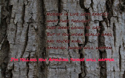

Akhuratha aquote-quotes-amazement Wall Poster Paper Print(12 inch X 18 inch, Rolled)