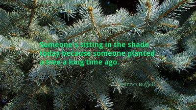 

Akhuratha aquote-quotes-plant-shade Wall Poster Paper Print(12 inch X 18 inch, Rolled)