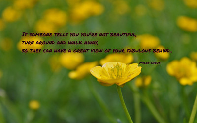 

Akhuratha aquote-quotes-beauty Wall Poster Paper Print(12 inch X 18 inch, Rolled)