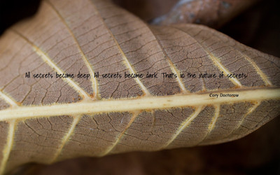 

Akhuratha aquote-quotes-secret Wall Poster Paper Print(12 inch X 18 inch, Rolled)
