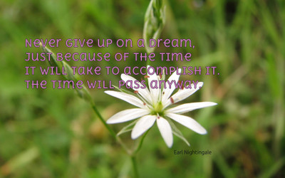 

Akhuratha a-quote-quotes-dream-time Wall Poster Paper Print(12 inch X 18 inch, Rolled)