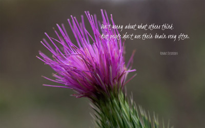 

Akhuratha aquote-quotes-acceptance Wall Poster Paper Print(12 inch X 18 inch, Rolled)
