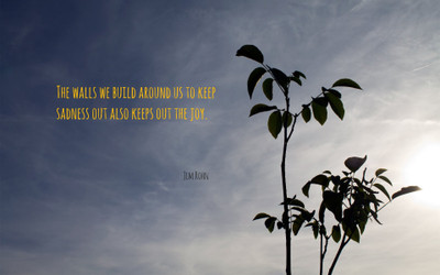

Akhuratha aquote-quotes-sadness-joy Wall Poster Paper Print(12 inch X 18 inch, Rolled)