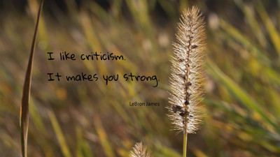 

Akhuratha a-quote-quotes-criticism Wall Poster Paper Print(12 inch X 18 inch, Rolled)