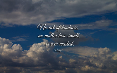 

Akhuratha aquote-quotes-kindness Wall Poster Paper Print(12 inch X 18 inch, Rolled)