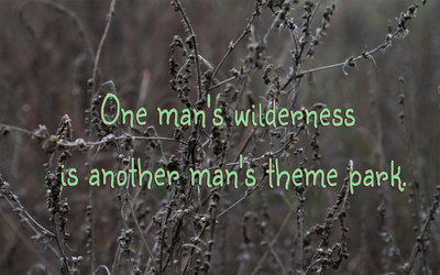 

Akhuratha aquote-quotes-wilderness-park Wall Poster Paper Print(12 inch X 18 inch, Rolled)