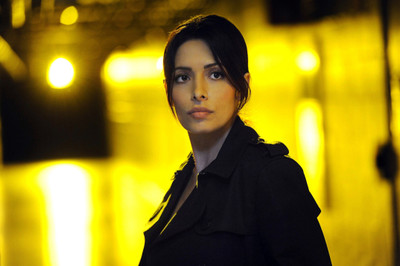 

TV Show Person Of Interest Sarah Shahi HD Wall Poster Paper Print(12 inch X 18 inch, Rolled)