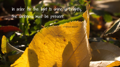 

Akhuratha a-quote-quotes-light-darkness Wall Poster Paper Print(12 inch X 18 inch, Rolled)