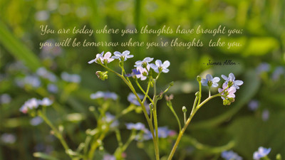 

Akhuratha aquote-quotes-thought Wall Poster Paper Print(12 inch X 18 inch, Rolled)