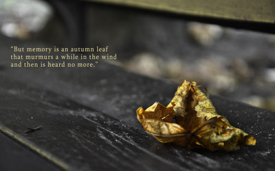 

Akhuratha amemory-autumn-leaf Wall Poster Paper Print(12 inch X 18 inch, Rolled)
