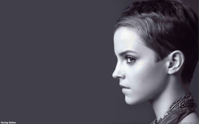 

Akhuratha a-emma-watson--title-kitchen-images-photos-image-spots Wall Poster Paper Print(12 inch X 18 inch, Rolled)