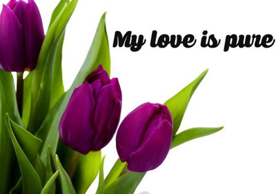 

Akhuratha Wall Poster -my-love-is-pure-zzbcwnfgwxg Paper Print(18 inch X 12 inch, Rolled)