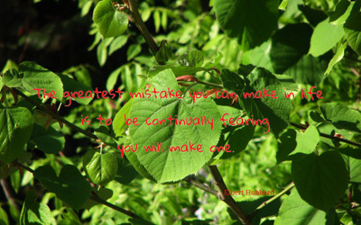 

Akhuratha aquote-quotes-mistake-fear Wall Poster Paper Print(12 inch X 18 inch, Rolled)