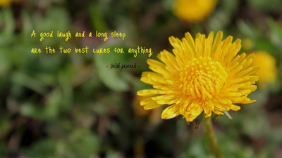 

Akhuratha aquote-quotes-laugh-sleep-cure Wall Poster Paper Print(12 inch X 18 inch, Rolled)