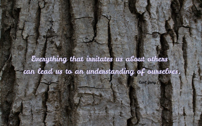 

Akhuratha aquote-quotes-understanding Wall Poster Paper Print(12 inch X 18 inch, Rolled)