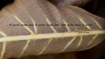 

Akhuratha a-quote-quotes-secret Wall Poster Paper Print(12 inch X 18 inch, Rolled)