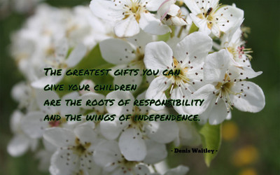

Akhuratha aquote-quotes-gift-responsibility-child-independence Wall Poster Paper Print(12 inch X 18 inch, Rolled)