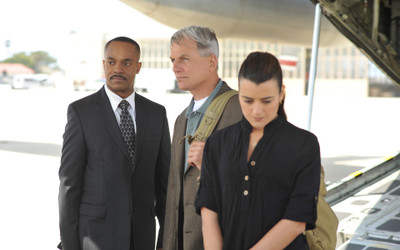 

TV Show NCIS Ziva David Cote De Pablo Leroy Jethro Gibbs Mark Harmon Leon Vance Rocky Carroll HD Wall Poster Paper Print(12 inch X 18 inch, Rolled)