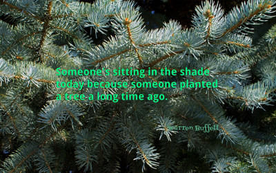 

Akhuratha aquote-quotes-plant-shade Wall Poster Paper Print(12 inch X 18 inch, Rolled)