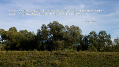 

Akhuratha aquote-quotes-happiness-life Wall Poster Paper Print(12 inch X 18 inch, Rolled)