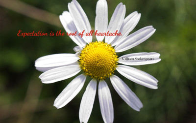 

Akhuratha aquote-quotes-expectation Wall Poster Paper Print(12 inch X 18 inch, Rolled)