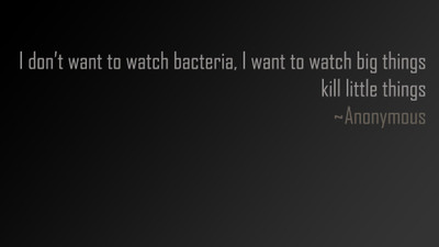 

Akhuratha abacteria Wall Poster Paper Print(12 inch X 18 inch, Rolled)