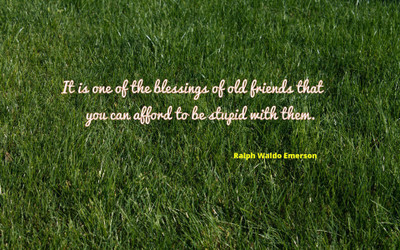 

Akhuratha aquote-quotes-blessing-stupidity Wall Poster Paper Print(12 inch X 18 inch, Rolled)